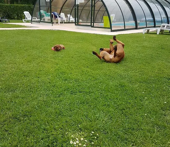 Du Golf קאבורג