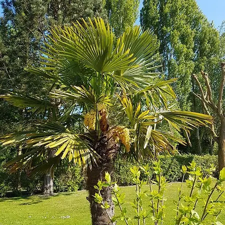 Du Golf Hotel